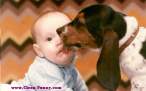 animal-baby-dog-kiss-lick.jpg
