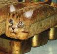 bulka.jpg