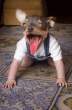dogbaby.gif