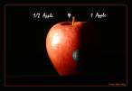 apple_question_thumbnail.jpg