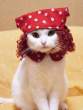 1752Cat_in_the_Hat_5.jpg