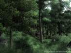 theelderscrollsivoblivion19.jpg