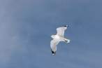 lookup.jpg