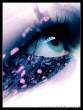 Butterfly_2_by_littlemewhatever.png