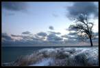 Nature_Englassed__4_by_alexiuss.jpg
