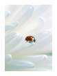 alone in this huge world by sipsic.jpg