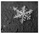piece of winter.jpg