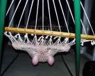 hammockwarning.jpg