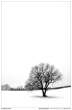 Negative Space by moeffju.jpg