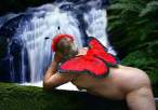 Butterfly.jpg