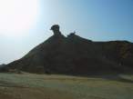 PICT0342_resize.JPG