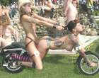 My kind of bike.jpg
