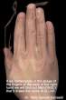 ThehandspellsouttheholynameofAllah.jpg