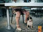 Because dogs don't always have it easy.jpeg