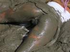 Muddy Business.jpg