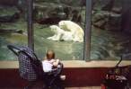 polar_love.jpg