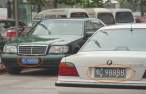 License Plates.jpg