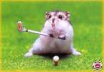 Exploding hamsters.jpg