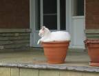 Plant.jpg