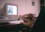 computer_dog.jpg