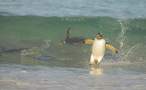 Surfin USA.jpg