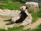 Jacuzzi.jpeg