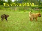 The Effects Of Gas.jpg