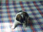 PICT0074_resize.JPG