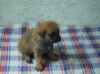 PICT0075_resize.JPG
