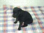 PICT0076_resize.JPG