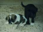 PICT0079_resize.JPG