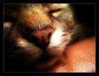 Deep Sleep..jpg