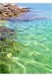 the voice of the sea2.jpg