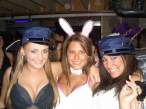 It's the bunny again.jpg