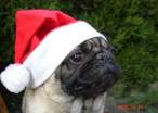 Santa.jpg