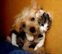 Two friends.jpg