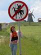 No Don Quijote.jpg