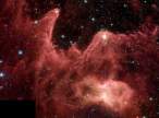 cosmos_3.jpg