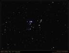 cosmos_5.jpg
