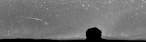 cosmos_11.jpg