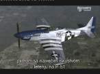 mustang 7.jpg