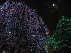 Lights.jpg