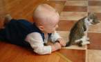 Thats my tail.jpg