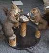 Playing cards.jpg