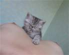 Got milk [18+].jpg