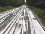 Follow the line.jpg