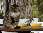 There was a bird somewhere.jpg