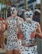 Dalmatians.jpg