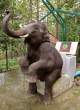 Elephant toilet.jpg