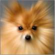 Static.jpg